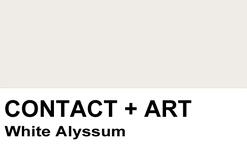 CONTACT